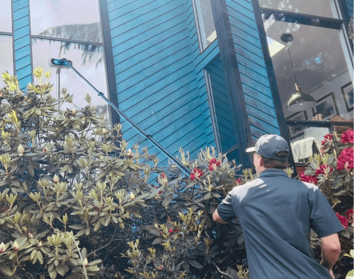Man uses a long pole to clean high windows on a blue house behind bushes.